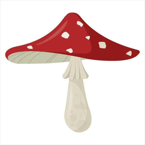 Mushroom Fly Agaric Icona Vettoriale Cartoon Amanita Disegno — Vettoriale Stock