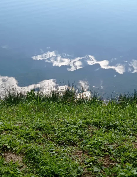 Yeşil çimenler ve nehirdeki bulutların yansıması.