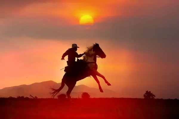 一个牛仔在日落时分骑着马在山上的轮廓 免版税图库图片