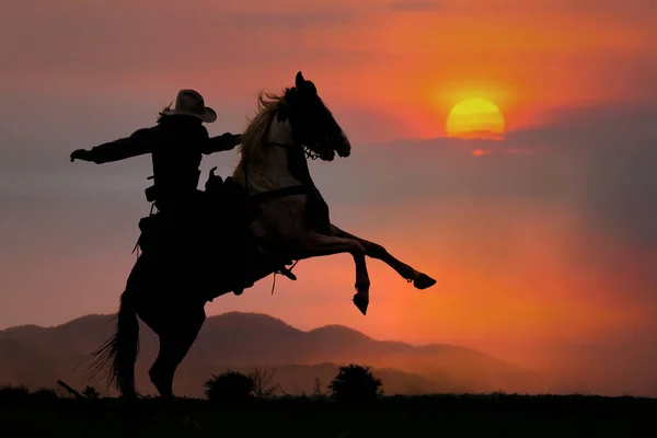 Die Silhouette Eines Cowboys Der Bei Sonnenuntergang Auf Dem Berg Stockbild