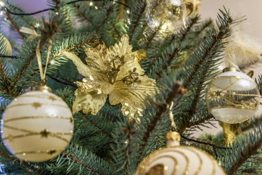 Çam ağacında Noel ağacı süslemeleri