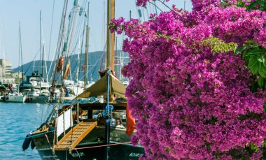 Büyüyen begonviller ve gezisini bekleyen bodrum yatı.