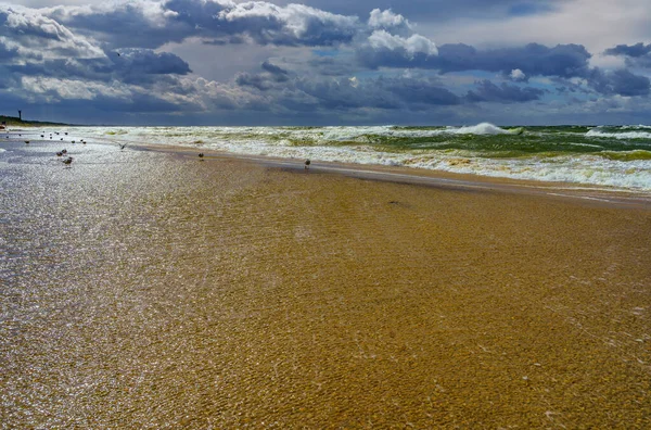 Fırtınalı hava deniz kenarında yürümeye elverişli değildir.
