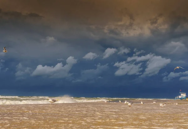 Fırtınalı Hava Deniz Kenarında Yürümeye Elverişli Değildir — Stok fotoğraf