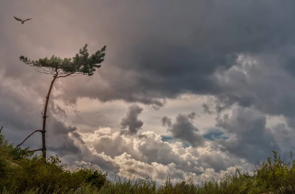 Vento Forte Nuvens Escuras Portend Uma Tempestade — Fotografia de Stock