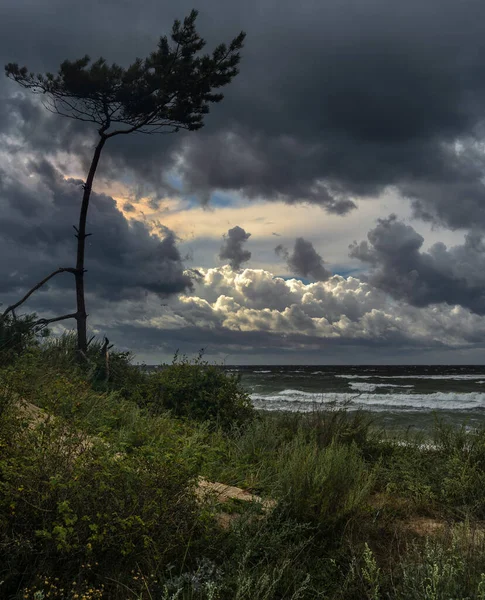 Vento Forte Nuvens Escuras Portend Uma Tempestade — Fotografia de Stock