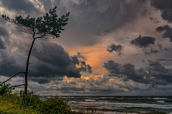 Vento Forte Nuvens Escuras Portend Uma Tempestade — Fotografia de Stock