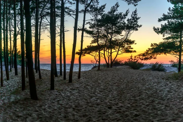 Playas Desiertas Junto Mar — Foto de Stock