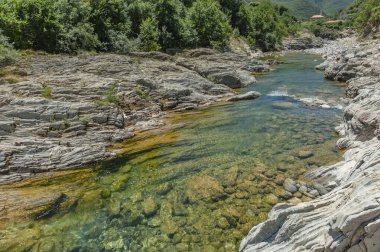 Arnavutluk 'un ulusal parkında bir dağ deresi.