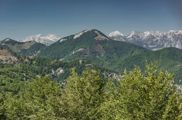 Kuzey Afrika dağlarındaki güzel ulusal park.
