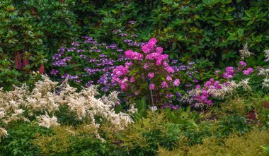Çiçekler uzun yıllardır hayatımızın ayrılmaz bir parçası olmuştur.