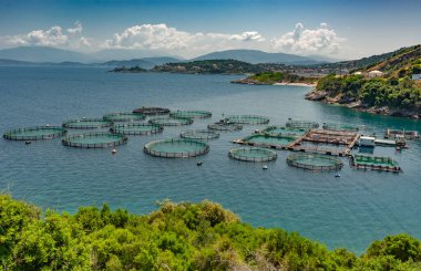 1992 yılında Yunanistan 'da kurulan off-shore korfu çiftliği