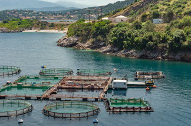 1992 yılında Yunanistan 'da kurulan off-shore korfu çiftliği