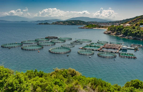 1992 yılında Yunanistan 'da kurulan off-shore korfu çiftliği