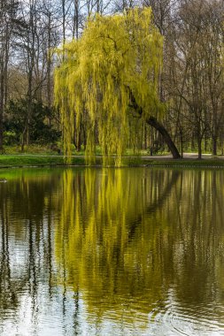 İlkbahar ve yaz hepimizin sabırsızlıkla beklediği mevsimlerdir.
