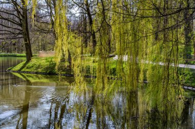 İlkbahar ve yaz hepimizin sabırsızlıkla beklediği mevsimlerdir.