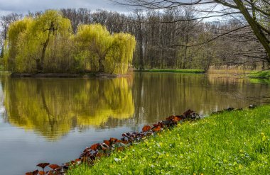 İlkbahar geliyor Hayatımıza iyimserlik ve iyi mizah getiriyor 