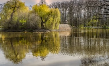 İlkbahar geliyor Hayatımıza iyimserlik ve iyi mizah getiriyor 