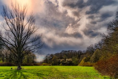 İlkbahar geliyor Hayatımıza iyimserlik ve iyi mizah getiriyor 