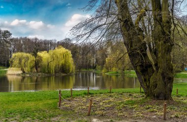 İlkbahar geliyor Hayatımıza iyimserlik ve iyi mizah getiriyor 