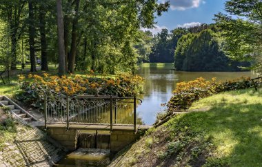 İlkbahar geliyor Hayatımıza iyimserlik ve iyi mizah getiriyor 