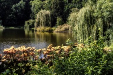 İlkbahar doğada ve hayallerde mevsimlerin en güzelidir.