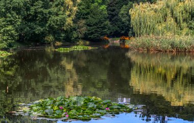 İlkbahar doğada ve hayallerde mevsimlerin en güzelidir.