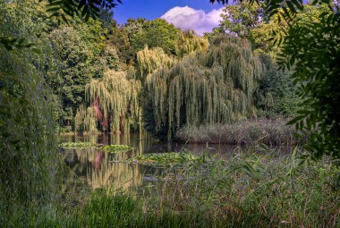 İlkbahar doğada ve hayallerde mevsimlerin en güzelidir.