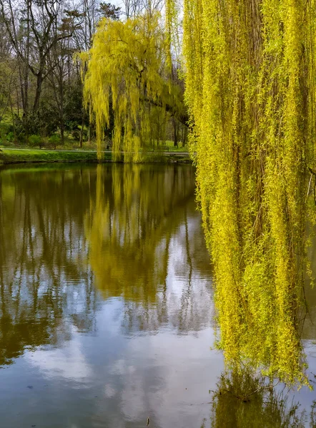 İlkbahar ve yaz hepimizin sabırsızlıkla beklediği mevsimlerdir.