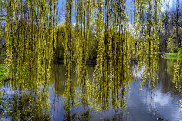 spring and summer are the seasons we all look forward to