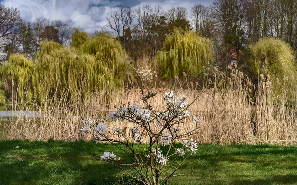 Der Frühling Kommt Und Bringt Optimismus Und Gute Laune Unser — Stockfoto