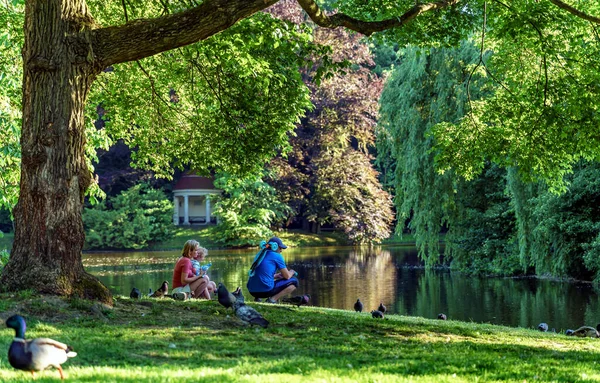 Ördeklerin güneşte güneşlendiği bahar.
