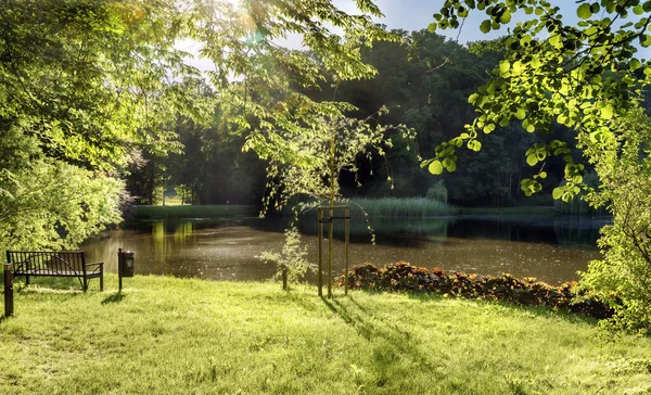 Bir bankta otur ve havadaki baharı kokla.