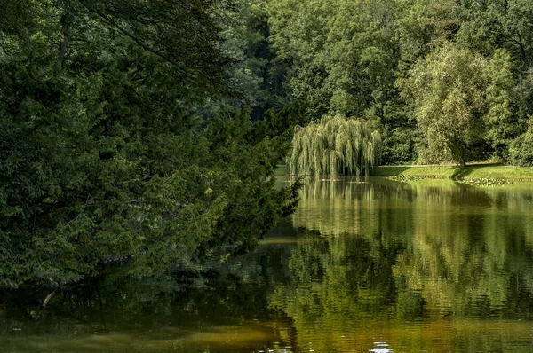 Primavera Natureza Imaginação Mais Bela Das Estações — Fotografia de Stock