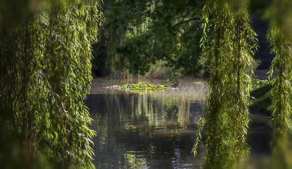 Spring Nature Imagination Most Beauty Seasons — Stock Photo, Image