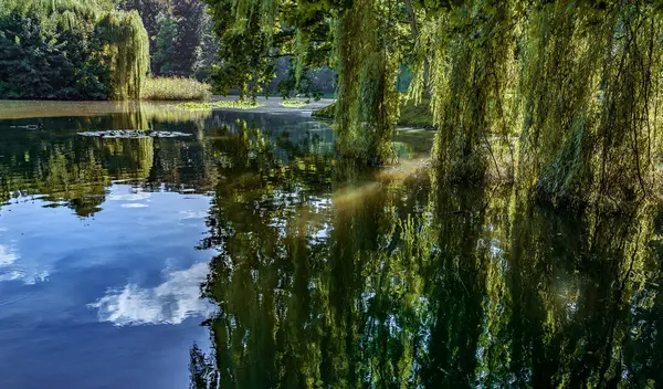 Primavera Natureza Imaginação Mais Bela Das Estações — Fotografia de Stock