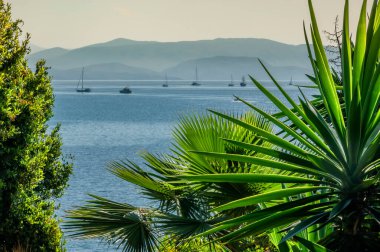 Korfu adasının günlük manzarası Yunanca
