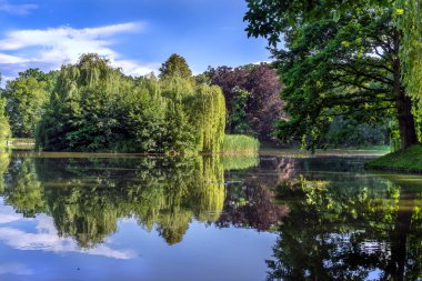 Doğanın kendisi medeniyetin gidişatıyla başa çıkar. 