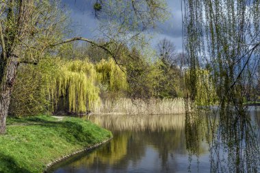 Doğanın kendisi medeniyetin gidişatıyla başa çıkar. 