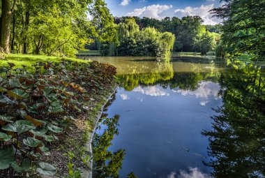 Doğanın kendisi medeniyetin gidişatıyla başa çıkar. 