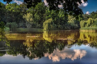 Yeşil ve çiçekli, bahar geliyor olmalı.