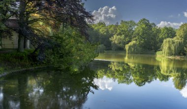 Doğanın kendisi medeniyetin gidişatıyla başa çıkar. 