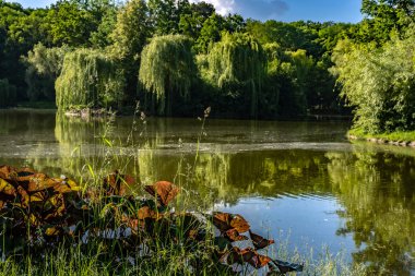 Yeşil ve çiçekli, bahar geliyor olmalı.
