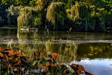 Yeşil ve çiçekli, bahar geliyor olmalı.