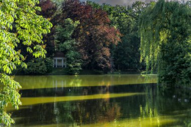 Yeşil ve çiçekli, bahar geliyor olmalı.