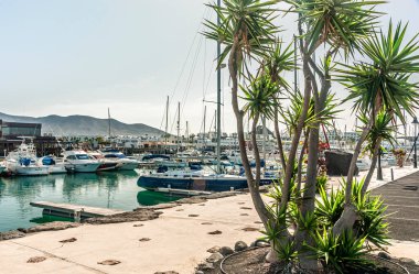 Lanzarote Marinası Rubicon Playa Blanca, İspanya