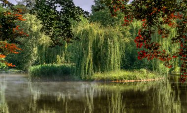 Park bahar sabahı sisiyle kaplıydı.