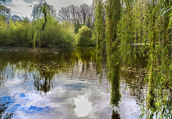 Doğa kıştan sonra uyanır ve bahar renkleriyle sürprizlerle doludur.