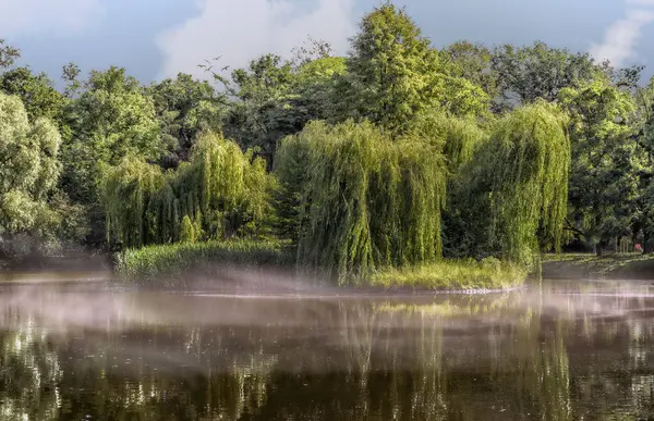 Park bahar sabahı sisiyle kaplıydı.
