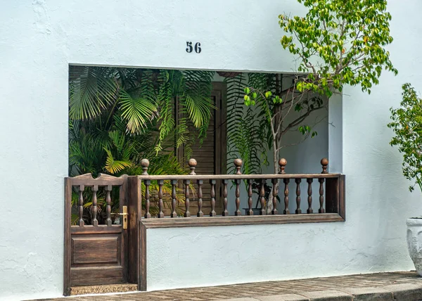 Evin girişinin önünde bir sürü yeşillik var.